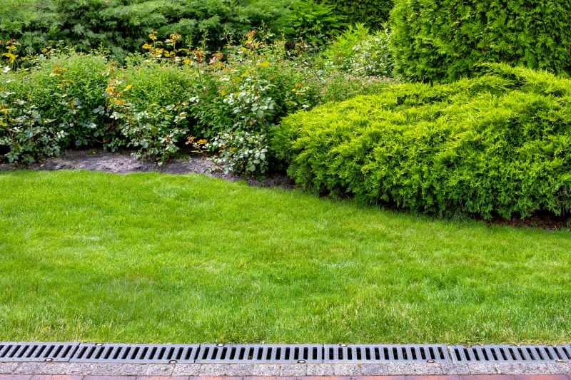 The Difference Professional Drainage Makes