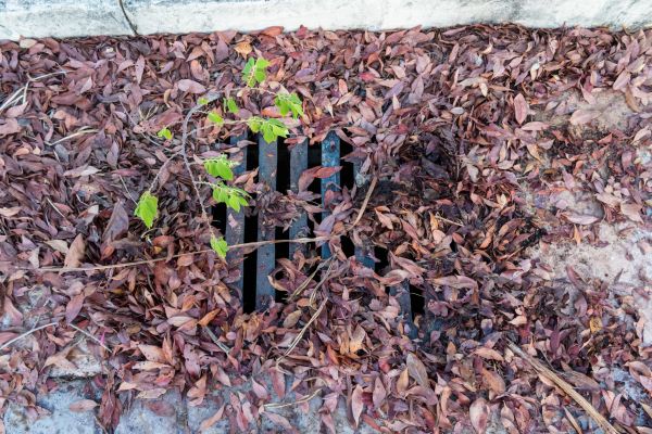 Cost of Yard Drain Unclogging in Dublin