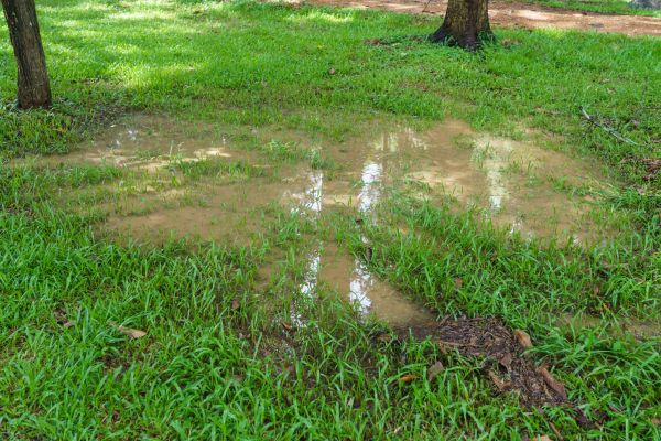 Garden Water Diversion