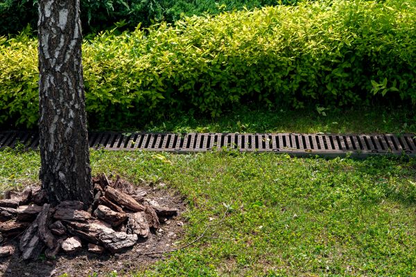 Yard Water Redirection