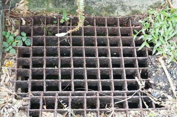 Yard Drain Cleaning in Dublin