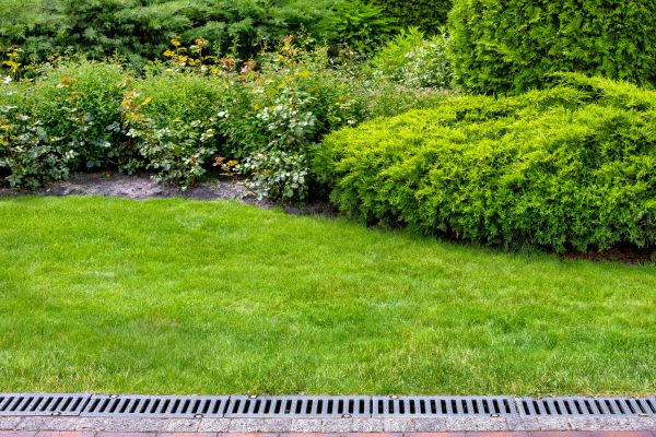 Residential Drain Installation