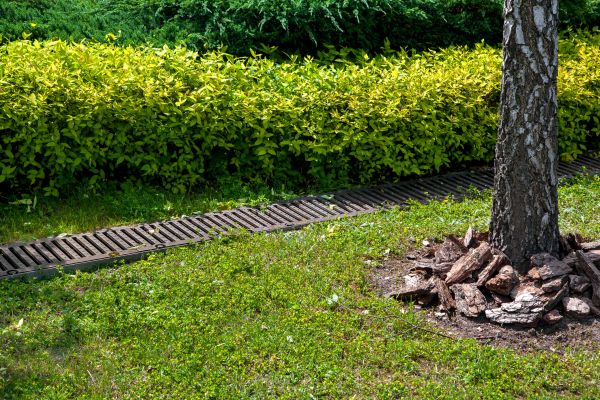 Cost of Residential Landscape Drainage in Dublin