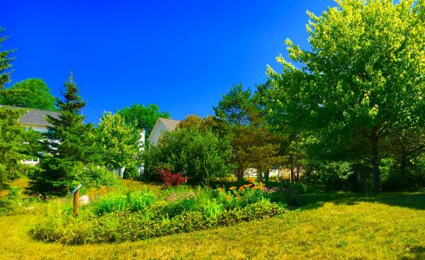 Rain Garden Installation