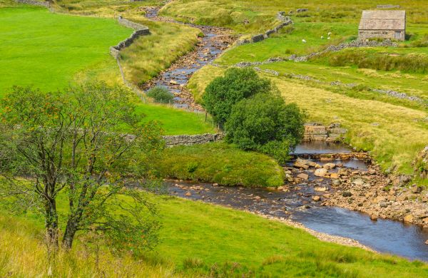 Cost of Swale Repair in Dublin