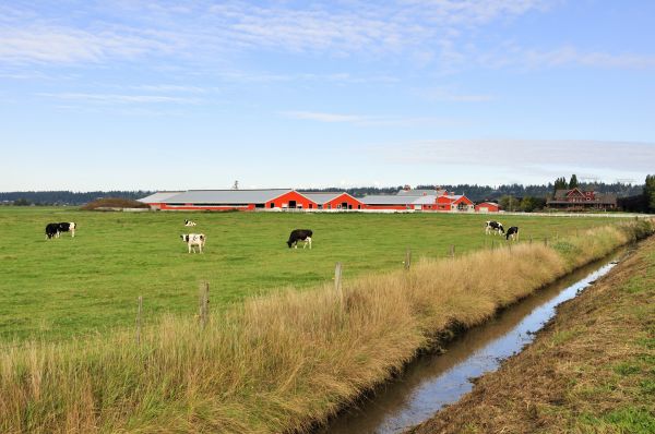 Farm Drainage Installation