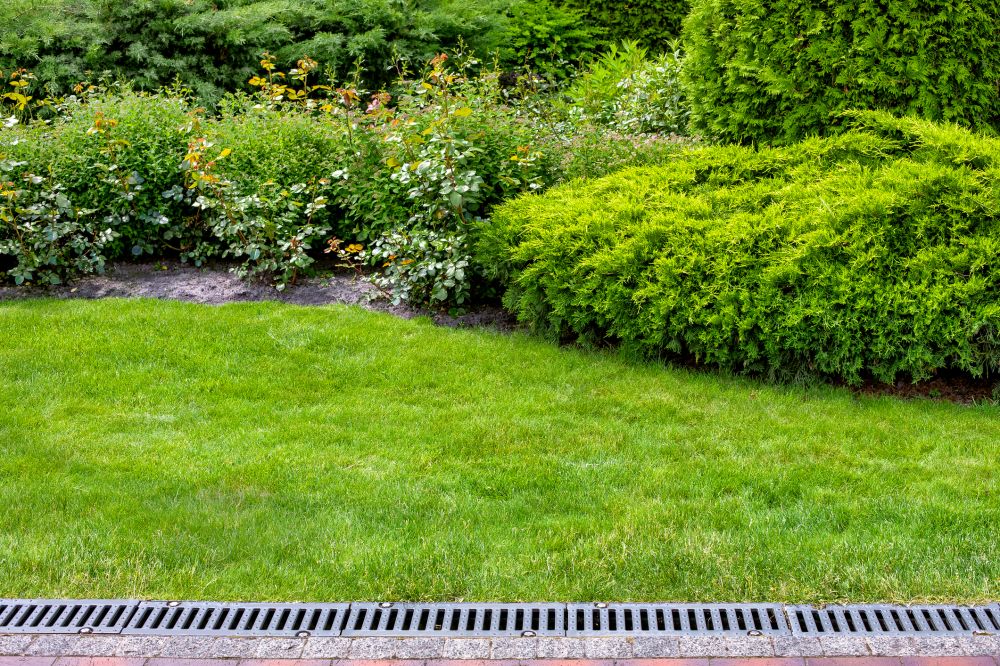Landscape Drain Installation
